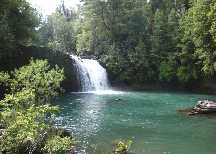PN-Puyehue-Salto-del-Indio-2 PN-Puyehue-Salto-del-Indio-2